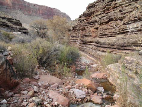 Tonto East Trail