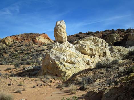 Amber Cat Canyon