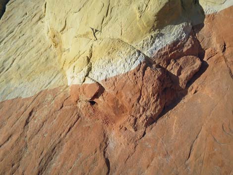 Doodlebug Arch