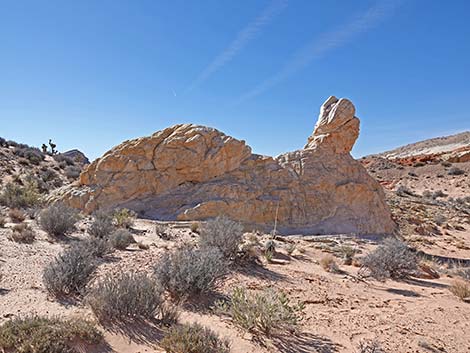 Amber Cat Canyon