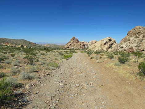 Doodlebug Canyon