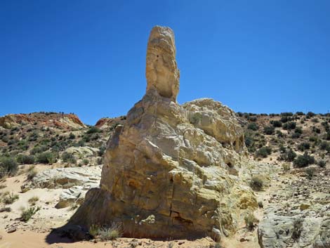 Amber Cat Canyon