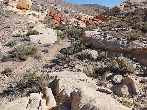 Doodlebug Arch