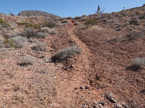 Doodlebug Arch Loop