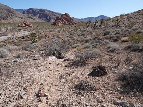 Doodlebug Arch Loop