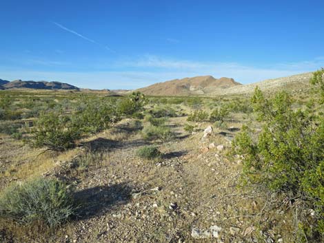 Bauer Mine