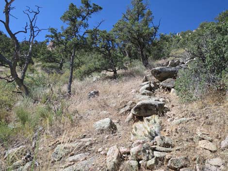 Billy Goat Peak