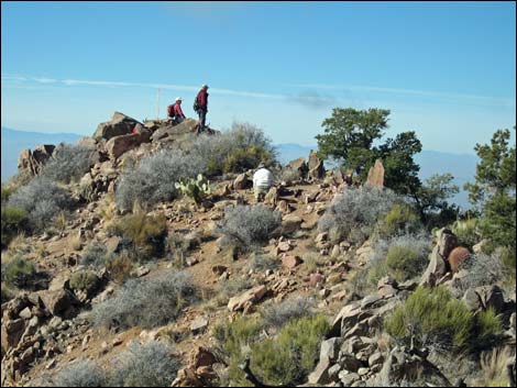 Billy Goat Peak