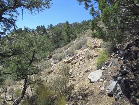 Billy Goat Peak