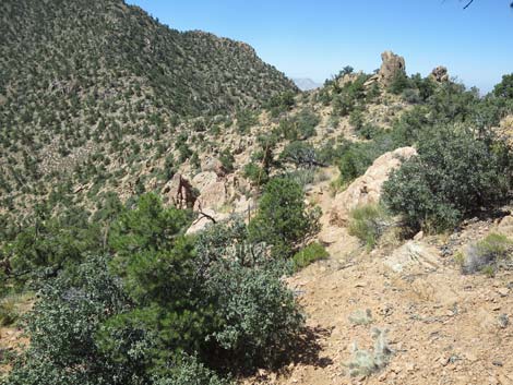 Billy Goat Peak