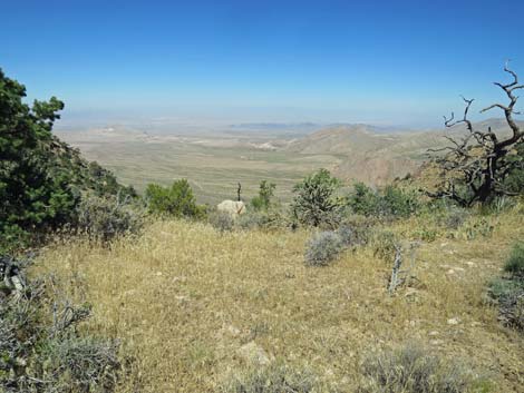 Billy Goat Peak