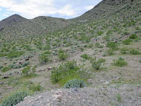 Black Ridge Mine