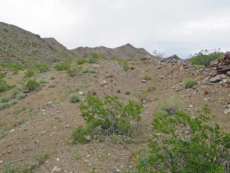 Black Ridge Mine