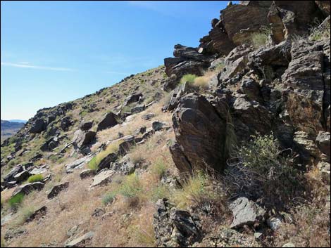 Bonelli Peak