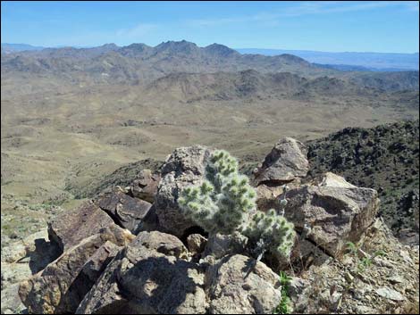 Bonelli Peak