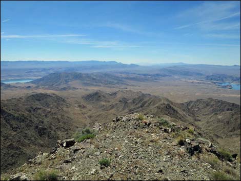 Bonelli Peak