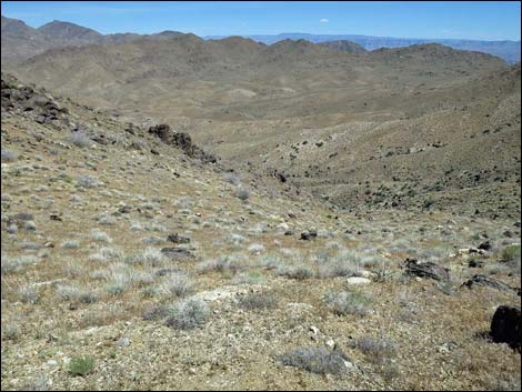 Bonelli Peak