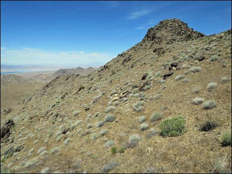 Bonelli Peak