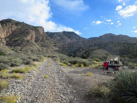 Cabin Spring Canyon Campsite