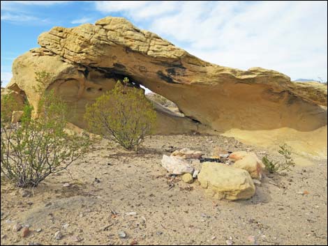 Mud Hills-2 Campsite