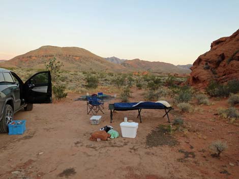 Mud Wash Dunes Campsite