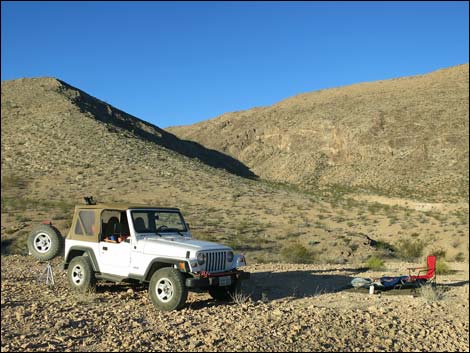 Red Bluff Spring Road Saddle Campsite