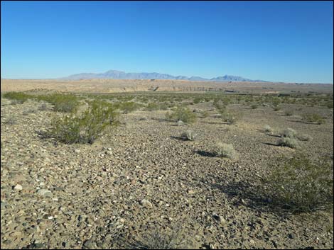 Virgin River Valley Overlook Campsite