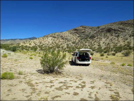 Whitney Pass Road Campsite