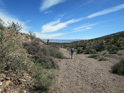 Cobalt Mine