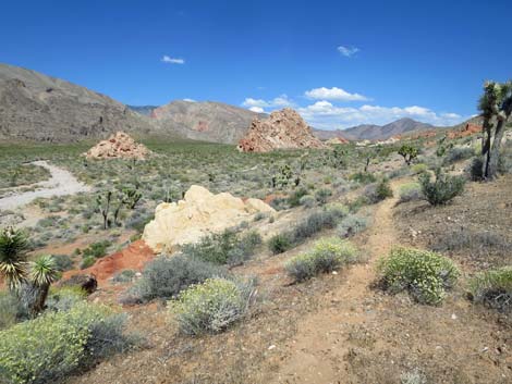 Doodlebug Arch