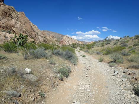 Doodlebug Arch