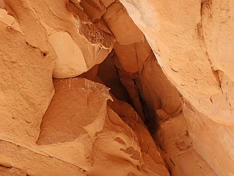 Doodlebug Arch