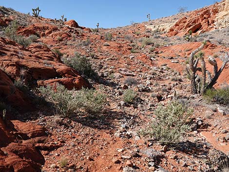 Doodlebug Canyon