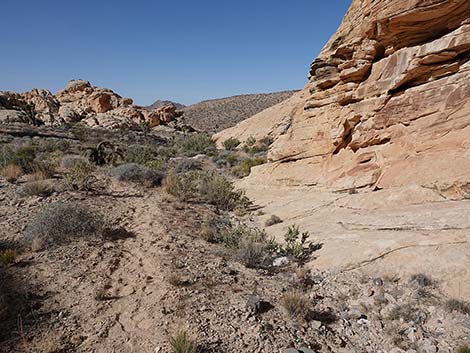 Doodlebug Canyon