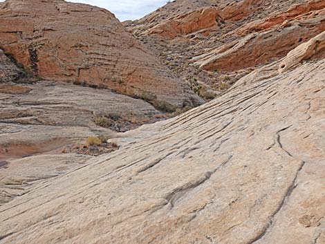 Doodlebug Arch