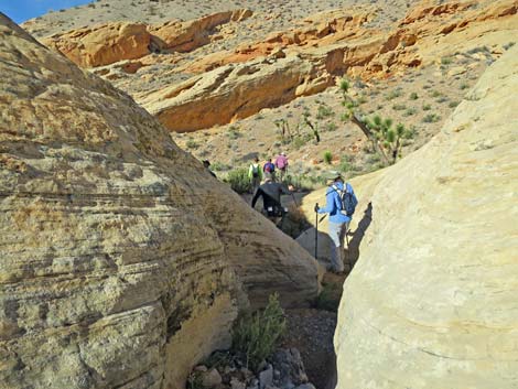 Doodlebug Arch