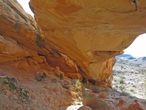 Doodlebug Arch