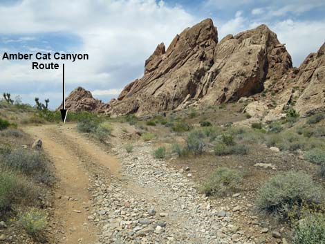 Doodlebug Canyon