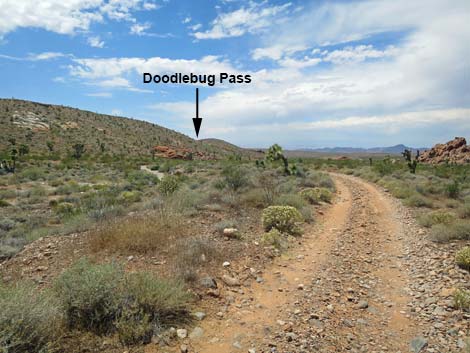 Doodlebug Canyon