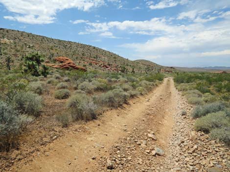 Doodlebug Canyon