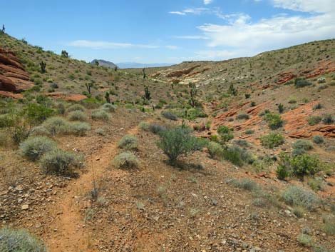 Doodlebug Canyon