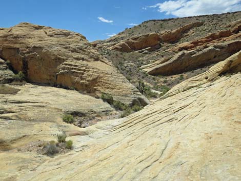 Doodlebug Canyon