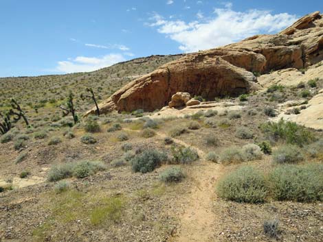 Doodlebug Canyon