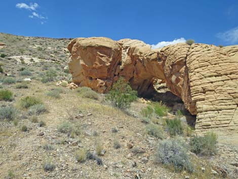 Doodlebug Canyon