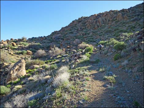 Gold Butte Peak