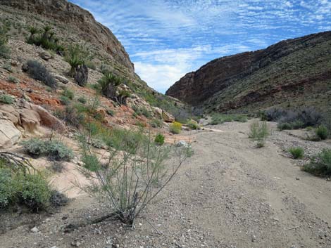 Garden Canyon