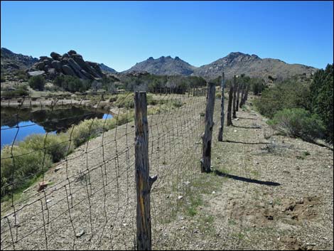 Grapevine Loop