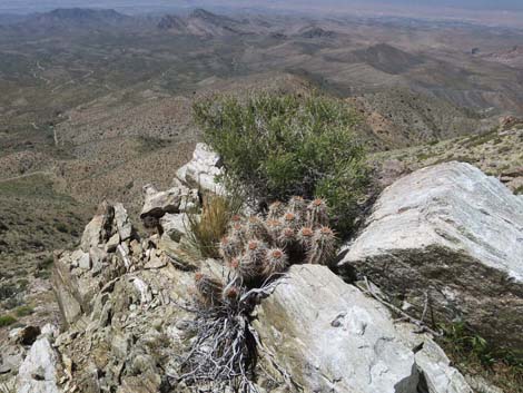 Great Eastern Peak