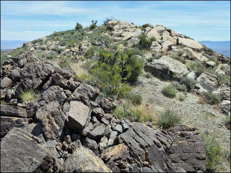 Jumbo Springs Wilderness