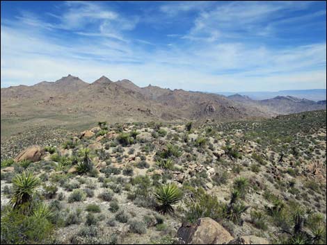 Jumbo Springs Wilderness